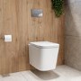 ONLY OPENED - Albi Wall Hung Toilet 1160mm Pneumatic Frame & Cistern & Chrome Flush Plate