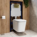 BUN/ALBIWH/91054 Wall Hung Toilet with Soft Close Seat, Pneumatic Brushed Brass Flush Plate, 1168mm Frame & Cistern - Albi