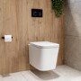 Albi Wall Hung Toilet 1160mm Pneumatic Frame & Cistern & Black Glass Flush Plate