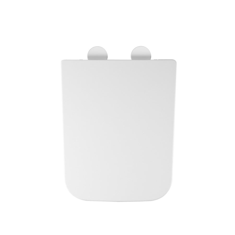 Wall Hung Rimless Toilet with Tornado Flush and Soft Close Seat - Albi