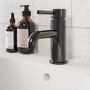 Black Chrome Mono Basin Mixer Tap - Arissa