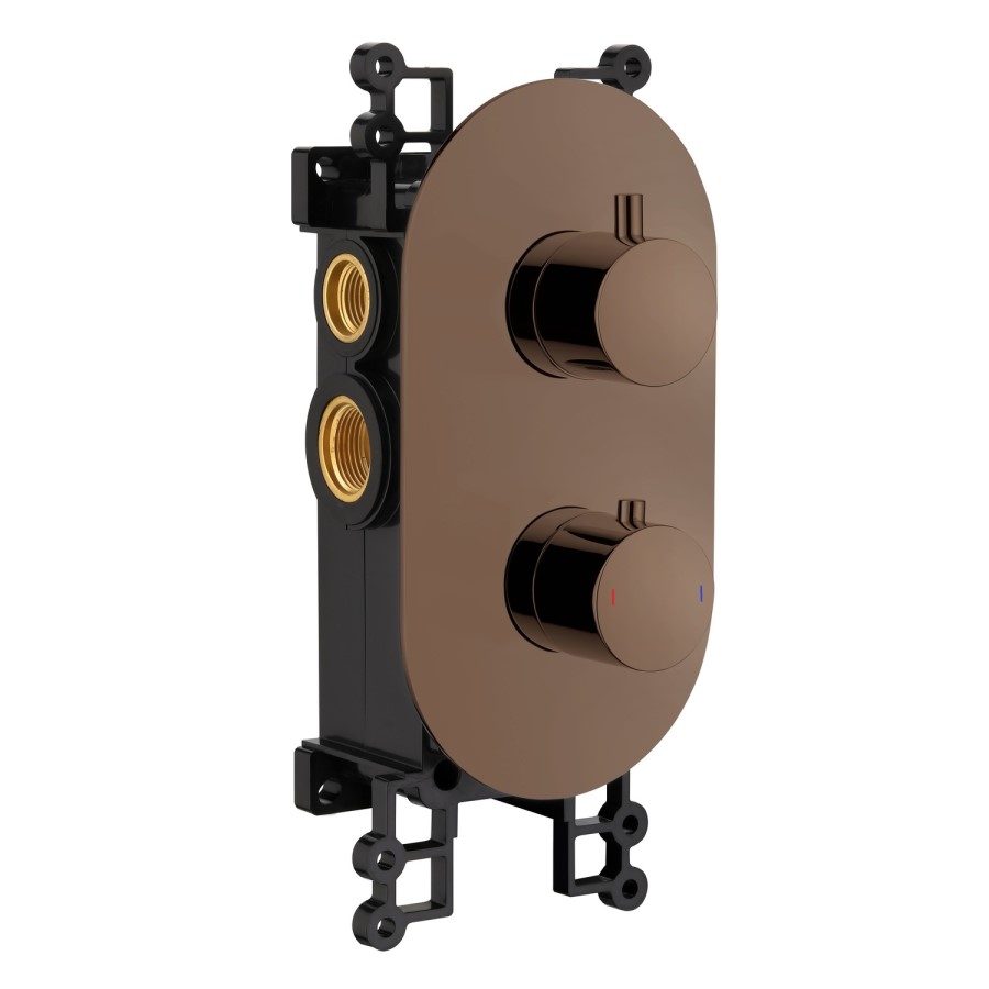 ONLY OPENED - Brushed Bronze 2 Outlet Wall Mounted Thermostatic Mixer Shower Set with Hand Shower - Arissa