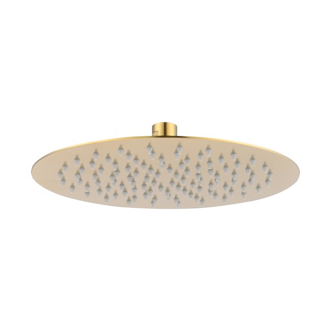 250mm Brushed Brass Shower Head with Wall Arm