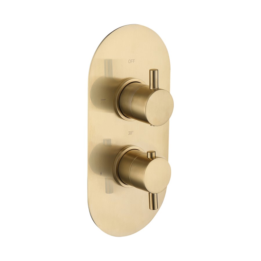 Brushed Brass 2 Outlet Wall Mounted Thermostatic Mixer Shower Set With Hose - Arissa	