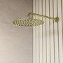 250mm Brushed Brass Rain Shower Head with Ceiling Arm