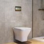 Wall Hung Rimless Toilet with Soft Close Seat, Brushed Brass Pneumatic Flush Plate, 1160mm Frame & Cistern - Austin