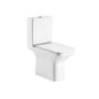 Hartly Rimless Close Coupled Toilet and Seat