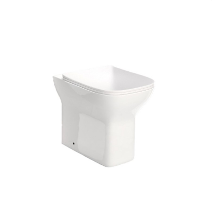 Back to Wall Toilet with Soft Close Seat - Florence