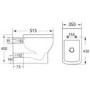 Back to Wall Toilet with Soft Close Seat - Florence