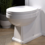 Back to Wall Traditional Toilet with Soft Close Seat - Park Royal