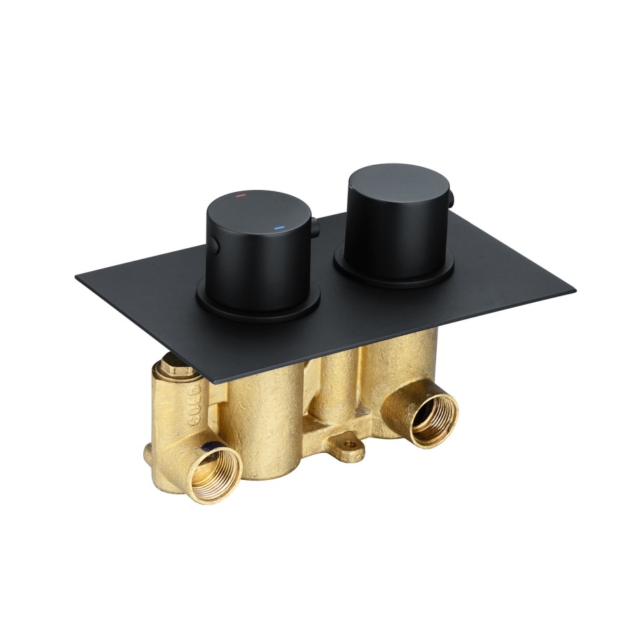 Arissa Matt Black Dual Control Round Concealed Valve - 2 Outlet