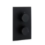 Arissa Matt Black Dual Control Round Concealed Valve - 2 Outlet