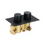 Arissa Matt Black Dual Control Round Concealed Valve - 2 Outlet