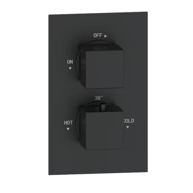 Black Single Outlet Wall Mounted Thermostatic Mixer Shower Set  - Zana