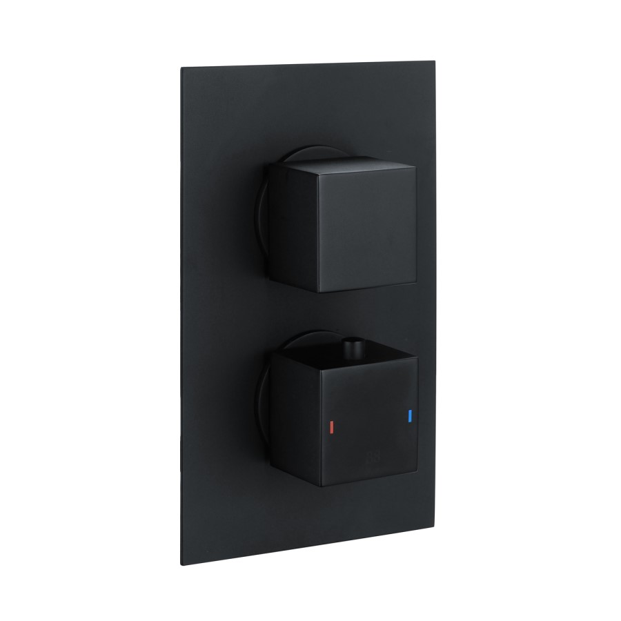 Black 2 Outlet Concealed Thermostatic Shower Valve with Dual Control - Zana