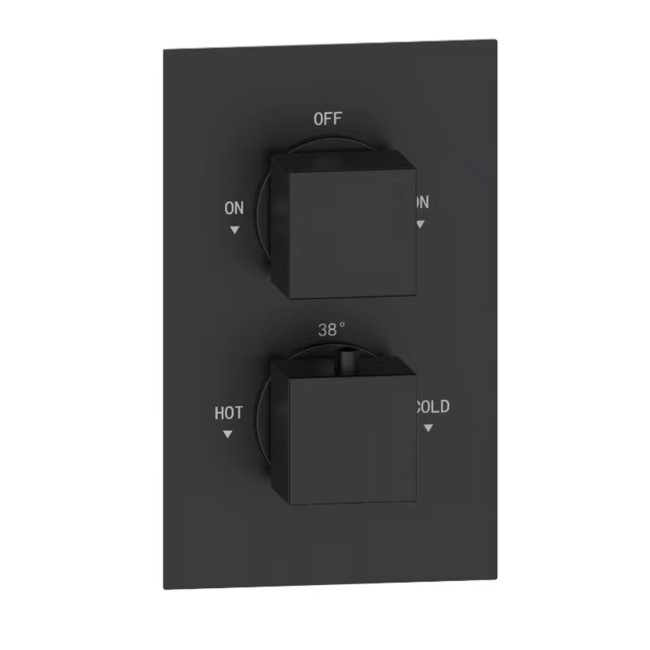 Black Dual Outlet Wall Mounted  Thermostatic Mixer Shower Set with Hand Shower - Zana