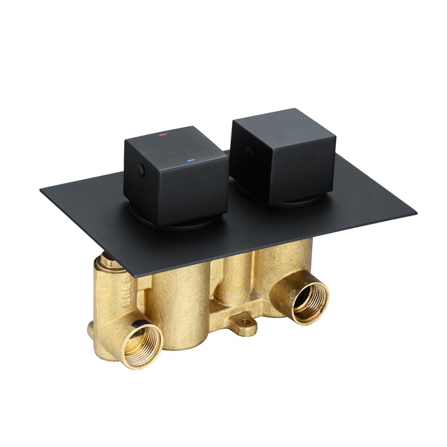 Black 2 Outlet Concealed Thermostatic Shower Valve with Dual Control - Zana