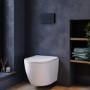 Wall Hung Rimless Toilet with Soft Close Seat, Matt Black Pneumatic Flush Plate, 1160mm Frame & Cistern – Roma