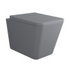 Grey Wall Hung Rimless Toilet and Soft Close Seat - Augusta