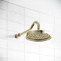 Grade A2 - Brass Shower Head with Wall Arm - Camden