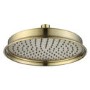 Grade A2 - Brass Shower Head with Wall Arm - Camden