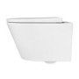 Wall Hung Toilet with Soft Close Seat Chrome Pneumatic Flush Plate 1170mm Frame & Cistern - Newport