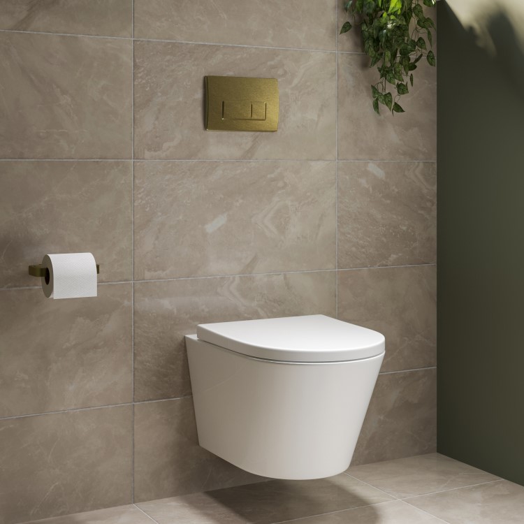 Wall Hung Toilet with Soft Close Seat Brushed Brass Pneumatic Flush Plate 1170mm Frame & Cistern - Newport