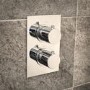 Concealed Dual Control Thermostatic Shower Valve & Freeflow Bath Filler with Push Button Waste & Overflow