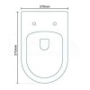 Aurora Back To Wall Toilet &amp; Soft Close Seat