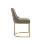 Set of 2 Mink Velvet Dining Chairs with Gold Legs - Callie