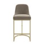 Set of 2 Mink Velvet Kitchen Stools with Gold Legs - Callie
