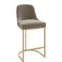 Set of 2 Mink Velvet Kitchen Stools with Gold Legs - Callie