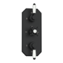 Black 2 Outlet  Ceiling Mounted Thermostatic Mixer Shower Set with Hand Shower - Cambridge