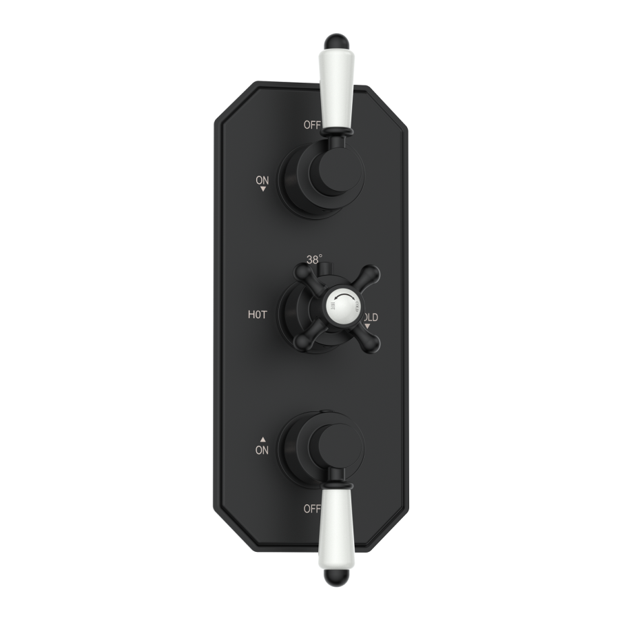 Black 2 Outlet  Ceiling Mounted Thermostatic Mixer Shower Set with Hand Shower - Cambridge