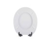Taylor &amp; Moore Traditional High Level Toilet with Soft Close Seat