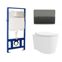Wall Hung Toilet with Soft Close Toilet Seat, Gunmetal Flush Plate, 1168mm Frame & Cistern - Alcor 