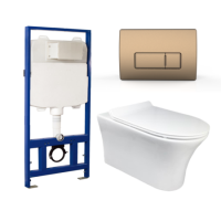 Wall Hung Toilet with Soft Close Toilet Seat, Brushed BronzePneumatic Flush Plate, 1168mm Frame & Cistern - Indiana
