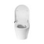 Wall Hung Smart Bidet Toilet with Heated Seat & Gunmtal Pneumatic Flush Plate, 1168mm Frame & Cistern - Purificare