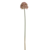 Set of 3 Artificial Pink Allium Stems