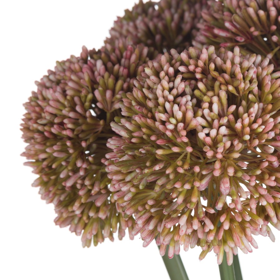 Set of 3 Artificial Pink Allium Stems