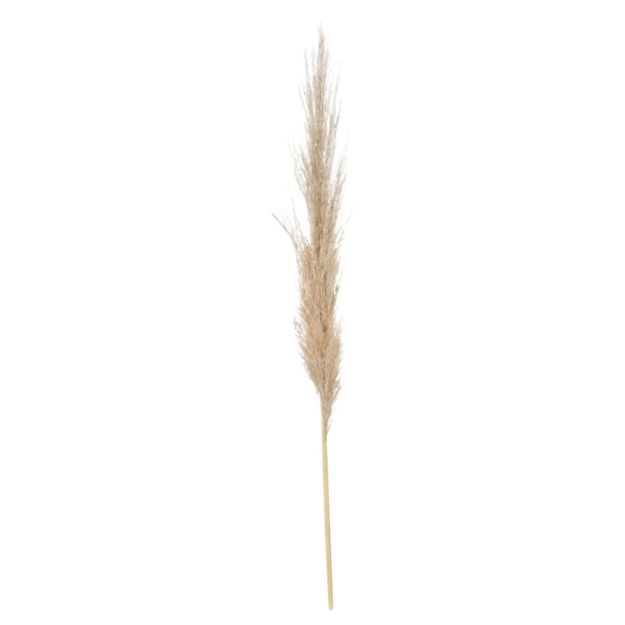 Set of 3 Neutral Pampas Grass Stems
