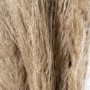 Set of 3 Neutral Pampas Grass Stems