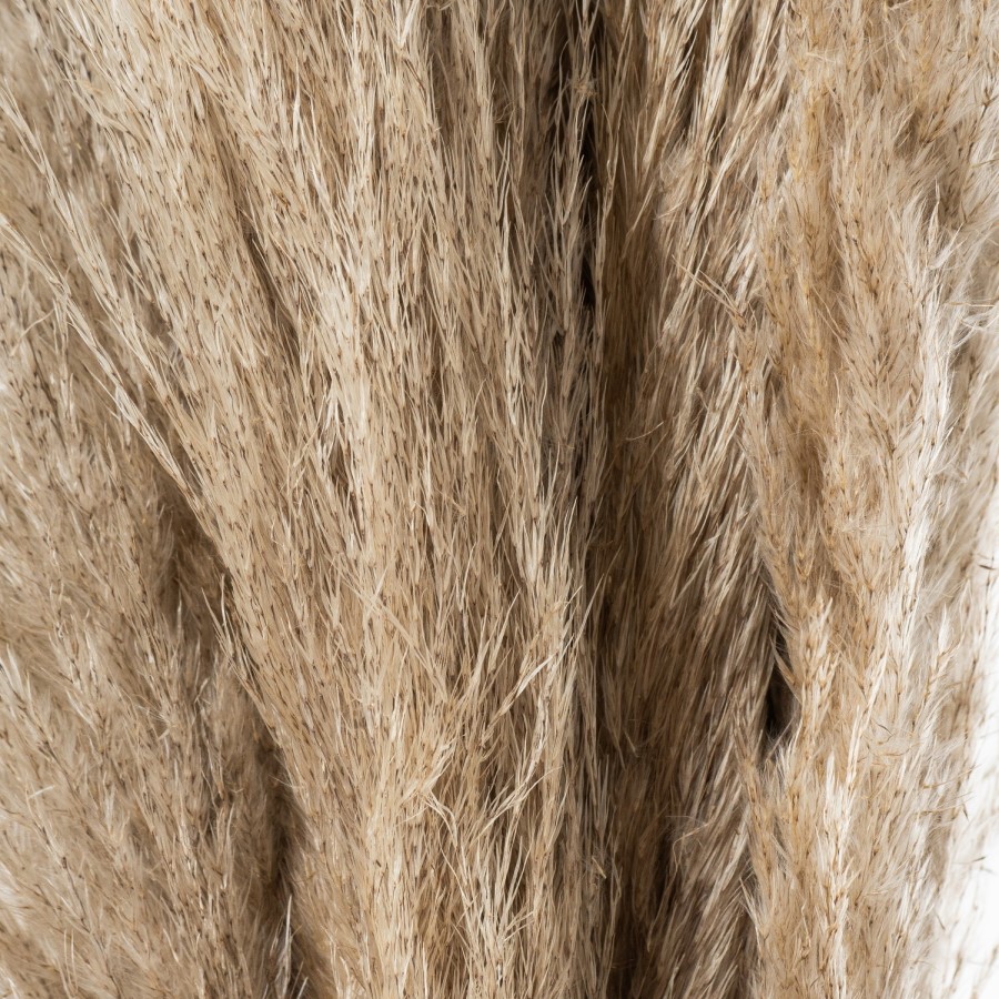 Set of 3 Neutral Pampas Grass Stems