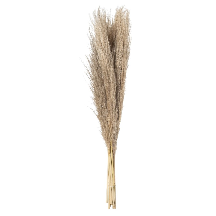 Set of 3 Neutral Pampas Grass Stems