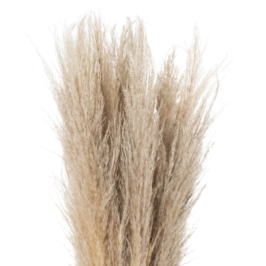 Set of 3 Neutral Pampas Grass Stems
