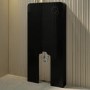 Back to Wall Toilet with Black Glass Cabinet, Cistern & Pneumatic Dual Flush Button - Albi