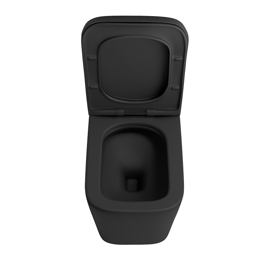 Black Back to Wall Toilet with Black Glass Cabinet, Cistern & Pneumatic Dual Flush Button - Albi