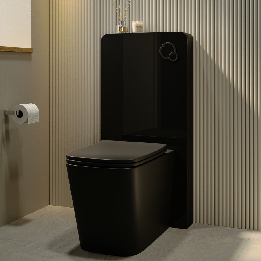 Black Back to Wall Toilet with Black Glass Cabinet, Cistern & Pneumatic Dual Flush Button - Albi