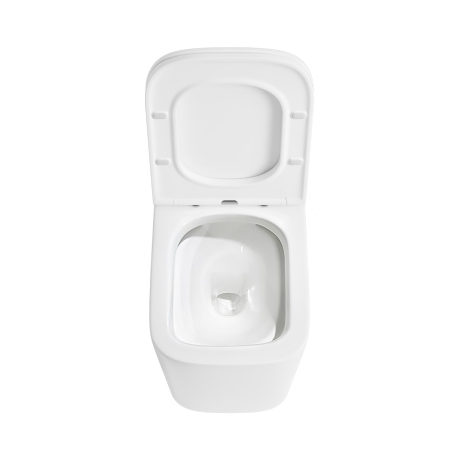 Back to Wall Toilet with White Glass Cabinet, Cistern & Pneumatic Dual Flush Button - Albi