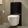 Wall Hung Toilet with Black Glass Cabinet, Cistern & Pneumatic Dual Flush Button - Roma